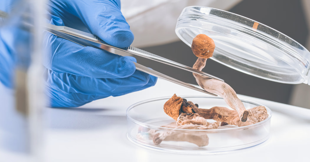 Emergence of “Microdosing” Habits Sparks Concern Among Health Experts