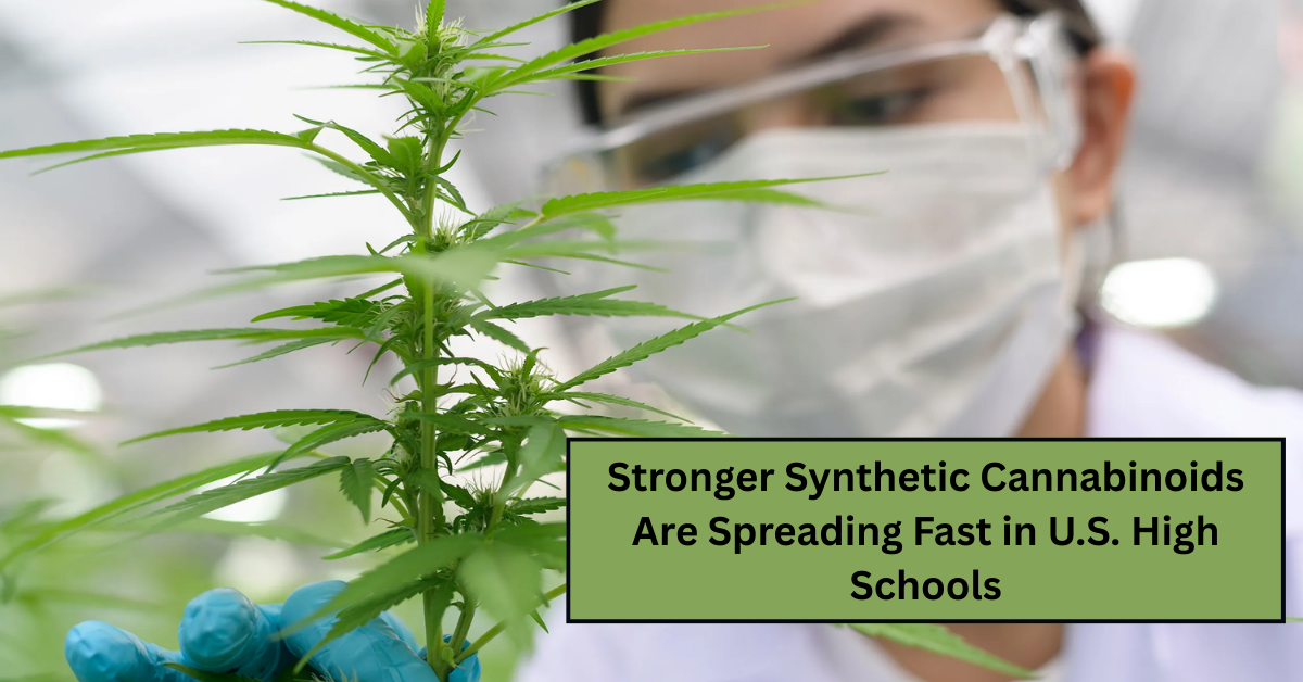 Stronger Synthetic Cannabinoids Are Spreading Fast in U.S. High Schools